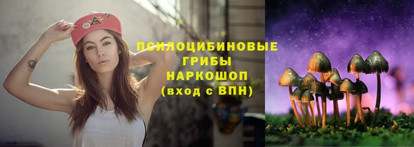 индика Балахна