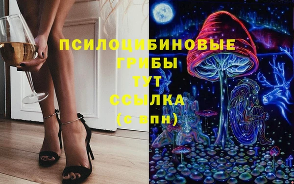 индика Балахна