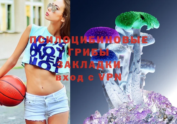 индика Балахна