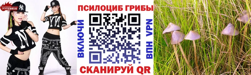 кракен вход  дарнет шоп  Кувандык  Галлюциногенные грибы ЛСД 