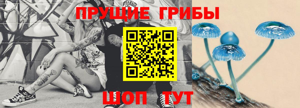 Галлюциногенные грибы мицелий  Псилоцибиновые грибы Psilocybe  Кувандык  Вход с VPN 